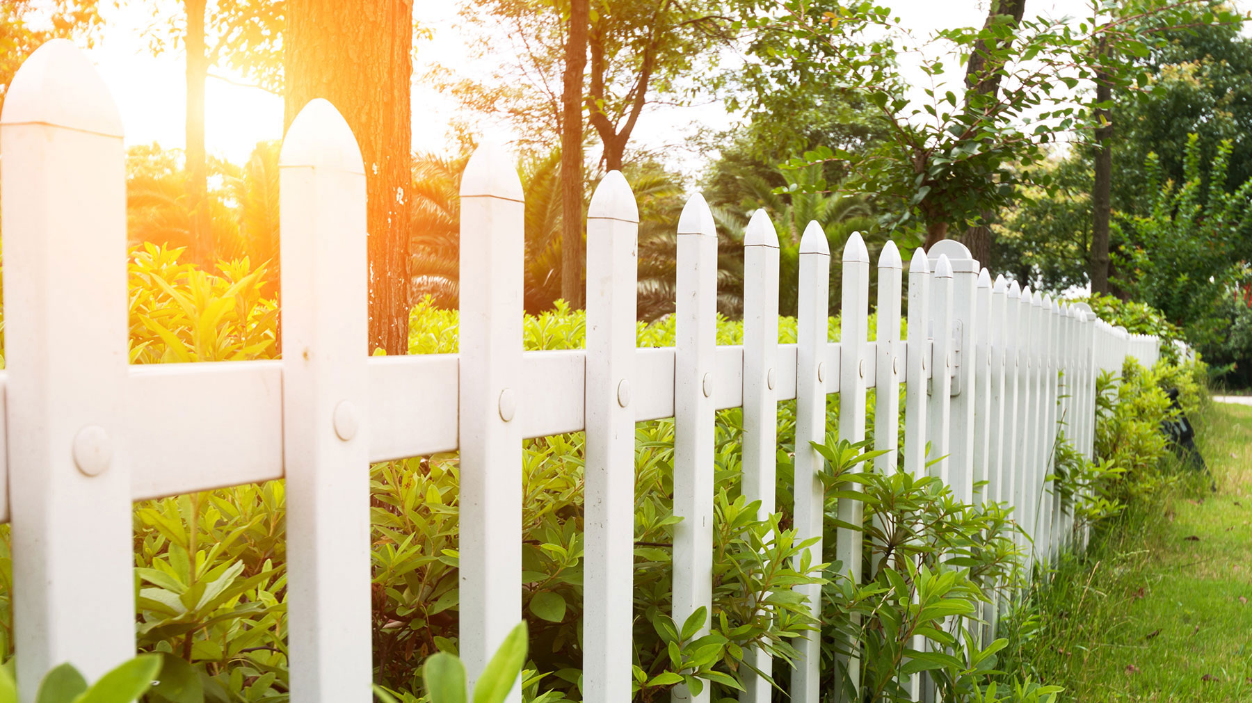 Tangle Lane HOA (Houston) cover